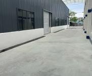 (出租) 彭山1500平方米全新標準廠房房東對外直租,無中介。