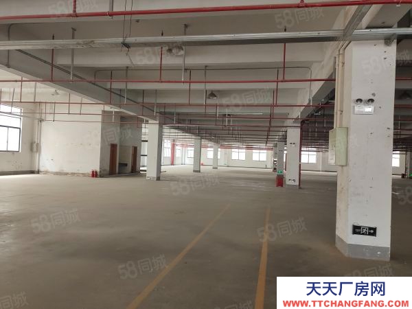 無錫錫山區(qū) 鵝湖工業(yè)區(qū) 新廠房出租,三層12000平,可分租價(jià)格便宜