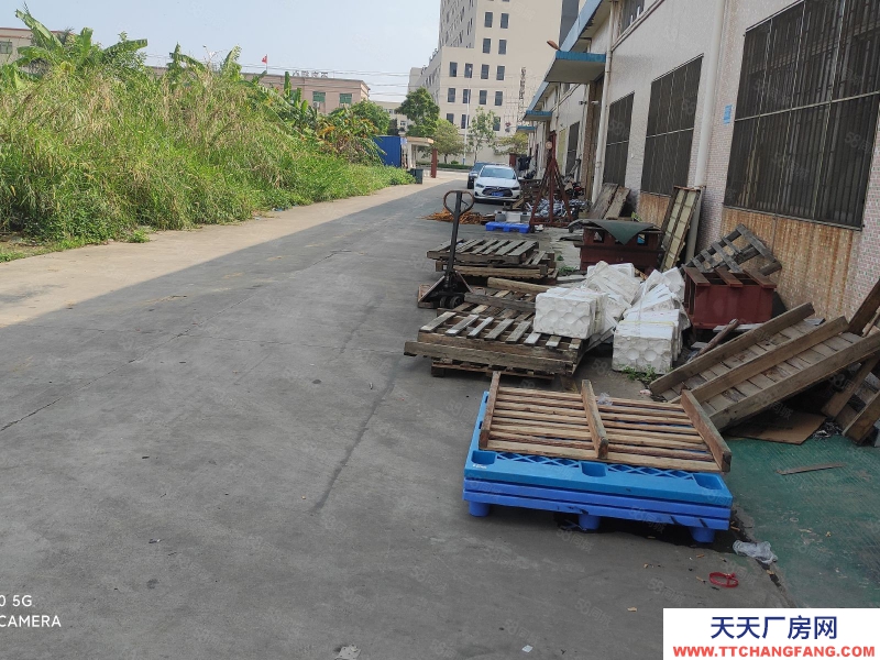 (出租) 中山市阜沙鎮(zhèn)獨院單層廠房5500平方出租,還有4000方空地