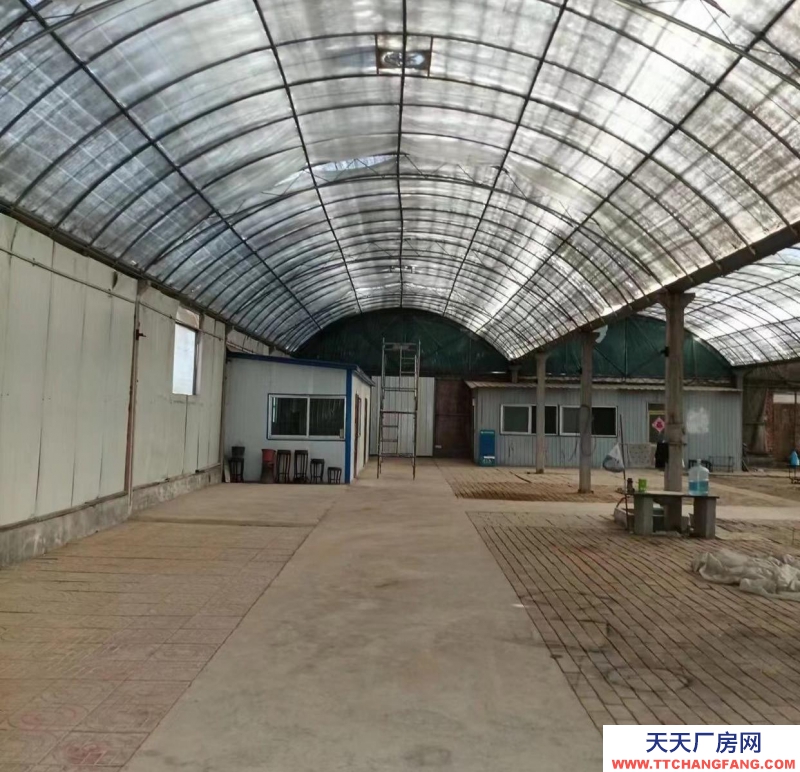 濟寧任城金宇路西頭康泉食品對過大路邊