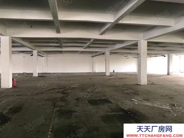 無錫錫山區東港 獨門獨院標準廠房4000，層高5米帶辦公室宿舍以及食堂