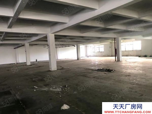 無錫錫山區東港 獨門獨院標準廠房4000，層高5米帶辦公室宿舍以及食堂