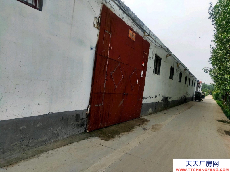 濟寧任城房子長35米，寬14米，有三項電，全水泥地，樓板屋