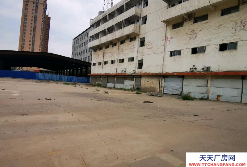 (出租) 多間廠房占地面積大可做二手車等