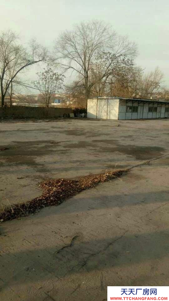 (出租) 城區義井鎮圪臺出租廠地