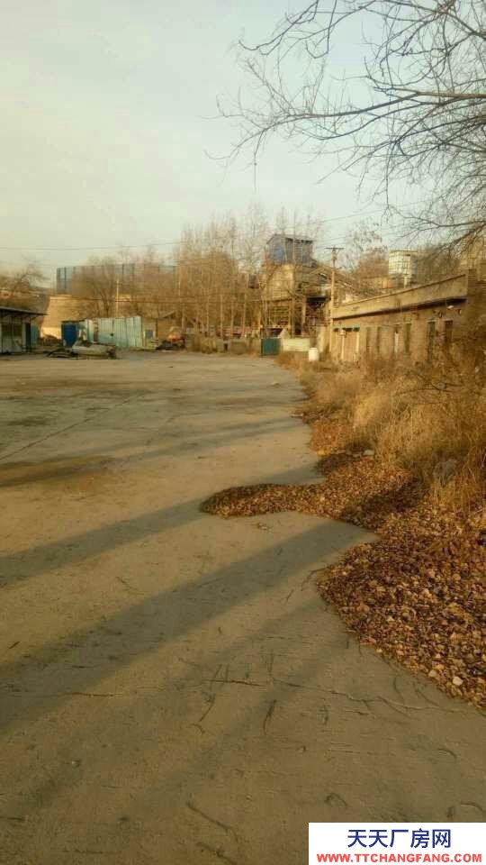 (出租) 城區義井鎮圪臺出租廠地