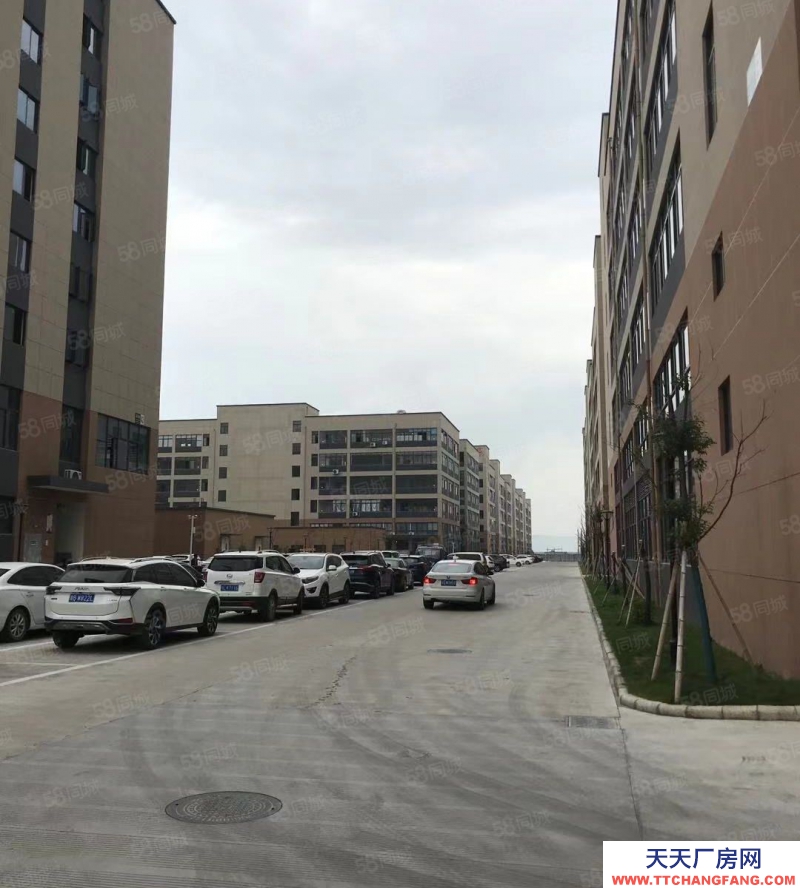 寧波寧海(出售) 全新標準廠房,支持按揭