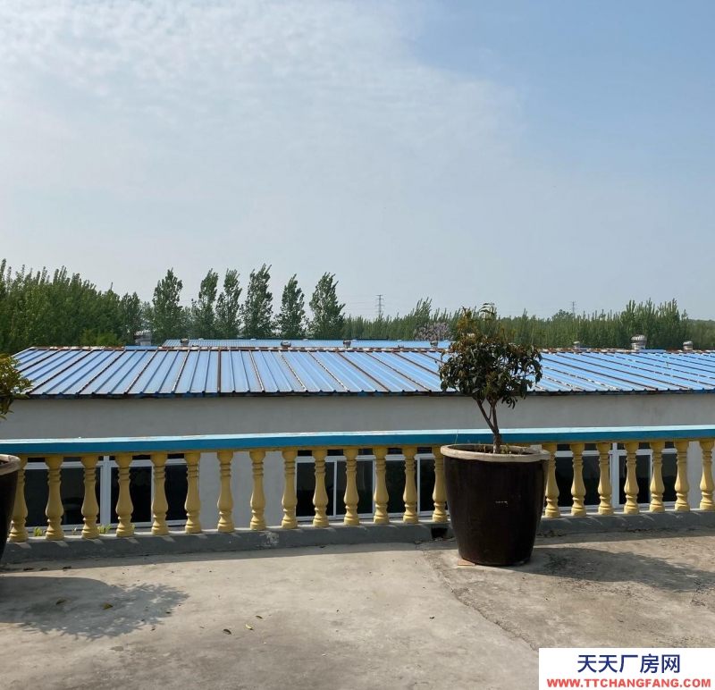 濟寧微山鋼架結構 高5.8 米 陽光充足