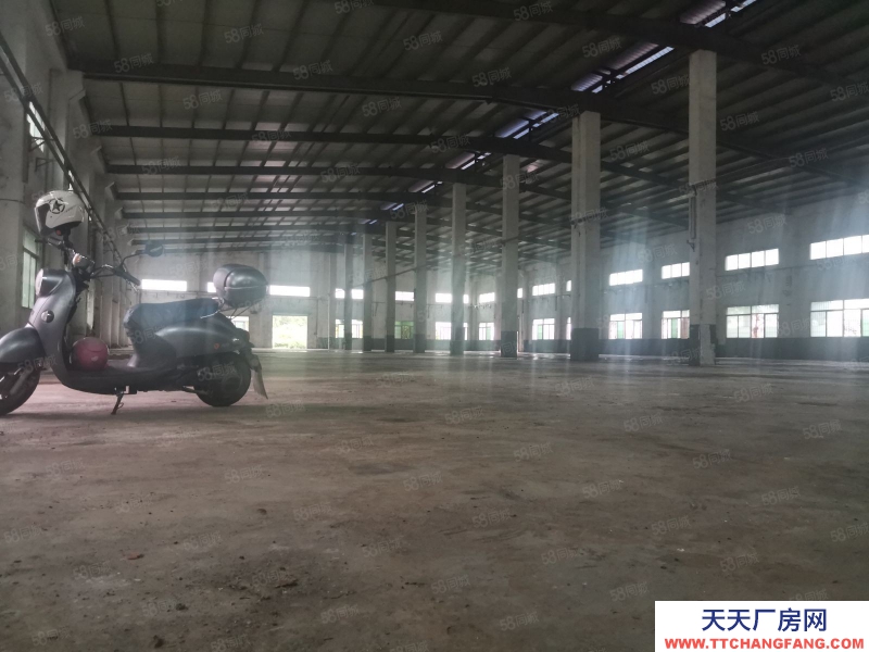 (出租) 中山神灣重工業(yè)可辦環(huán)評滴水10米單一層廠房1650平方出租