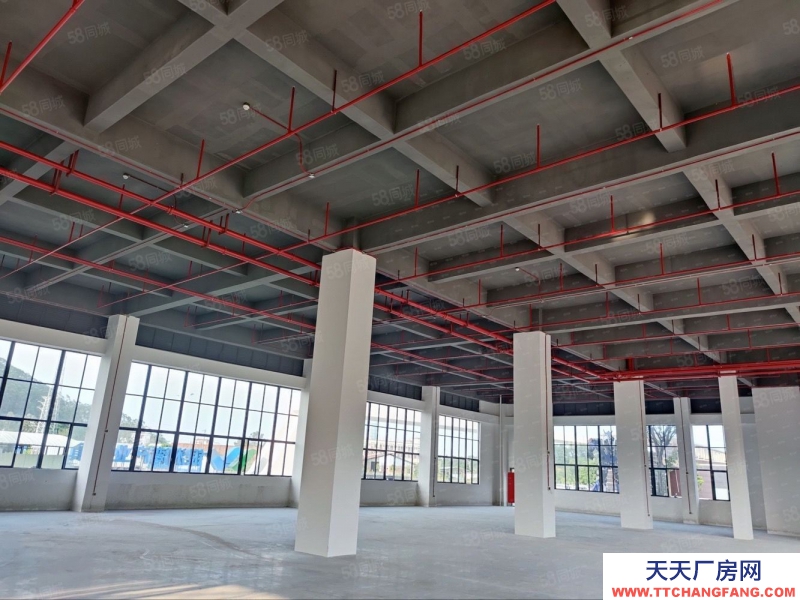 (出售) 中山石岐臨近深中通道 全新50年大產權廠房首付低至2成