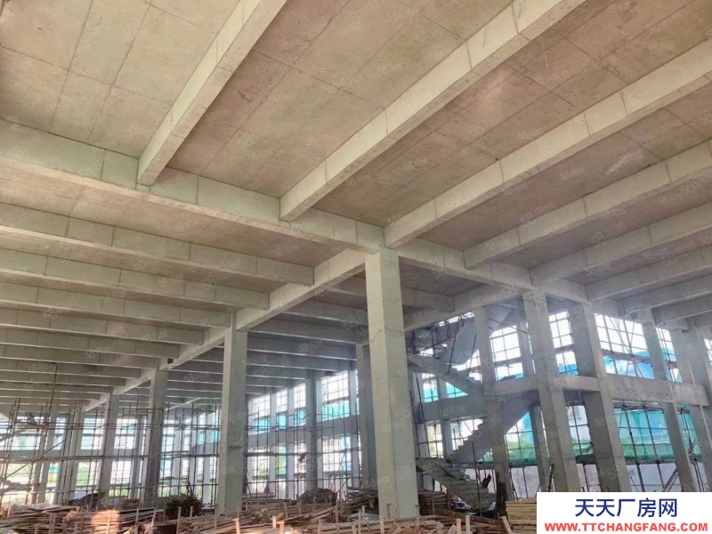 (出售) 中山石岐臨近中山紅本廠房價格便宜,50年產權!證件齊全