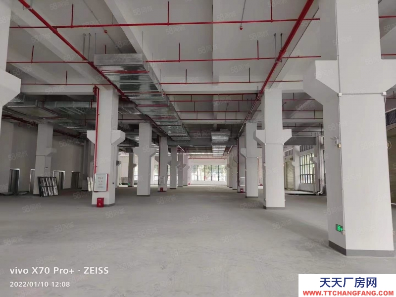 (出售) 中山坦洲工業(yè)紅本廠房出售250000方 500起售 0稅收