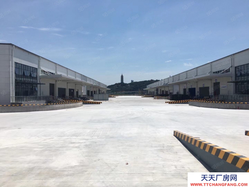 寧波余姚(出租) 余姚86000方全部一層高標庫出租 3000起分租