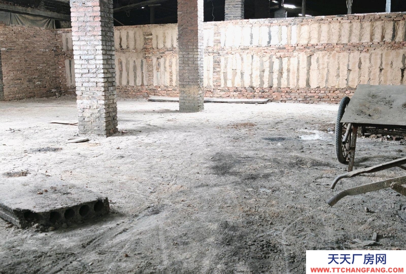 (出租) 面積近600平，彩鋼屋頂，地面已硬化，交通便利