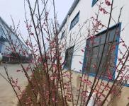 (出租) 荊門東寶大型鋼構廠房出租2500平米，長崗一路。 ?