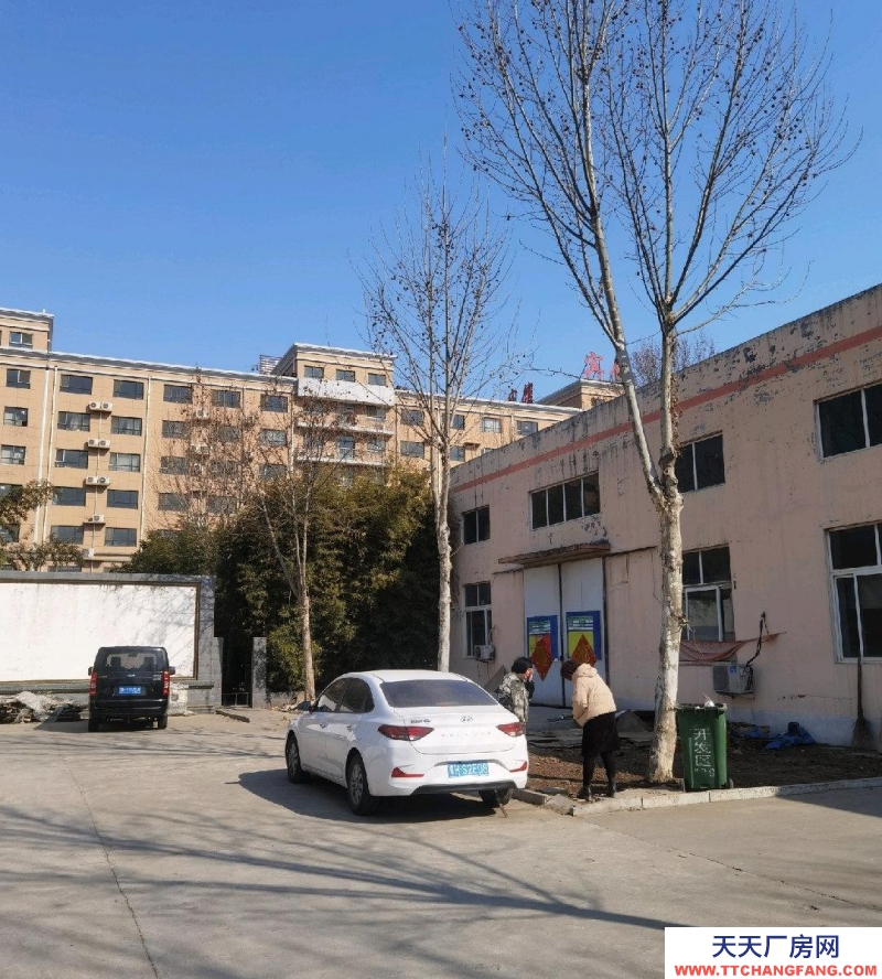 濟寧汶上現在有大型廠房倉庫出租