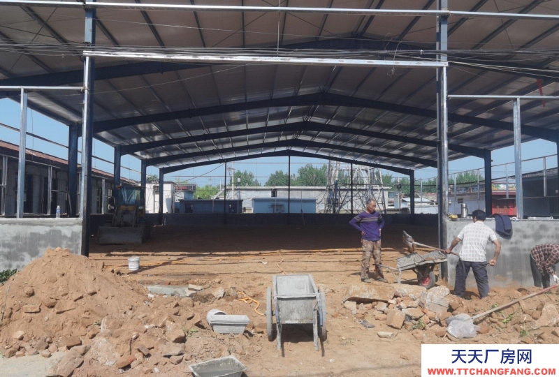 濟寧泗水位置 全新廠房 出租