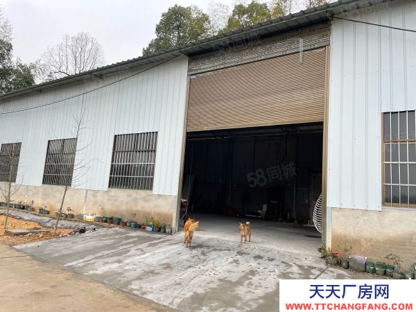 湘潭市雨湖區 錳礦方向，響水鄉全新獨立廠房出租