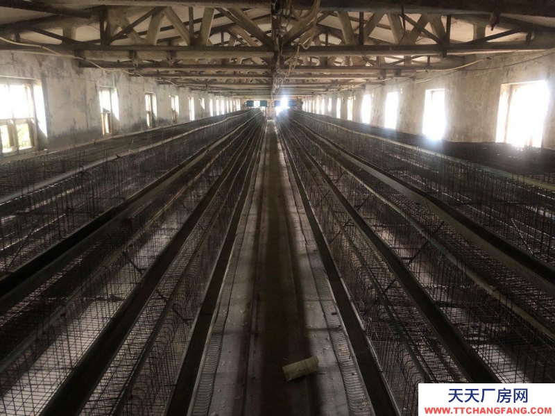 (出租) 出租廠房 房租相當(dāng)便宜可做養(yǎng)殖物流驛站餐飲