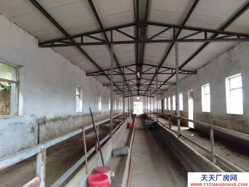 (出租) 出租平定平陽(yáng)路（岔口鄉(xiāng)北頭嶺村大型養(yǎng)殖場(chǎng)）