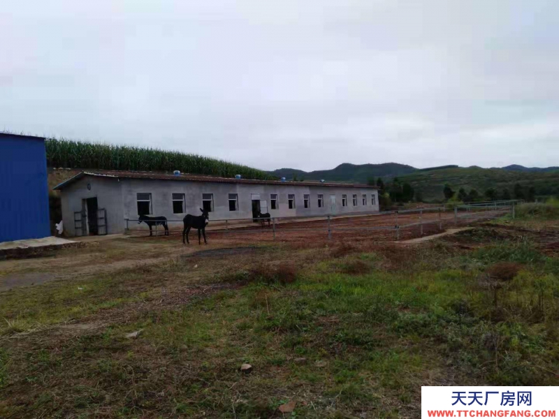 (出租) 出租平定平陽(yáng)路(岔口鄉(xiāng)北頭嶺村大型養(yǎng)殖場(chǎng))