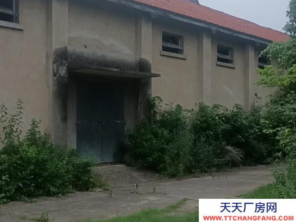 (出租) 荊門(mén)鐘祥共有八幢，每幢五百平方，獨(dú)門(mén)進(jìn)出