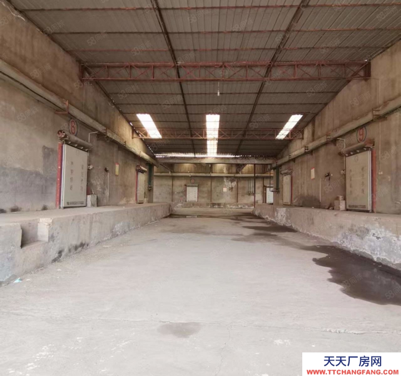 (出租) 咸陽禮泉縣5000平廠房可改造 可做有噪音和污染行業