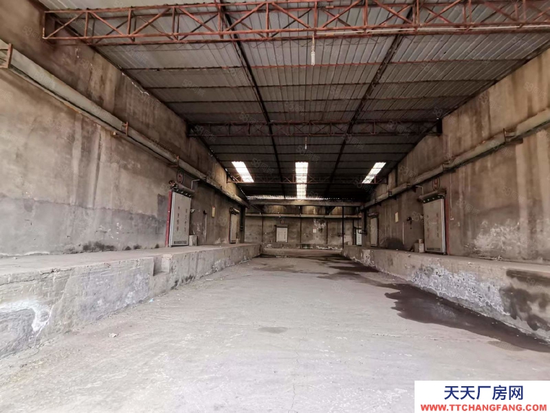 (出租) 咸陽禮泉縣5000平廠房可改造 可做有噪音和污染行業