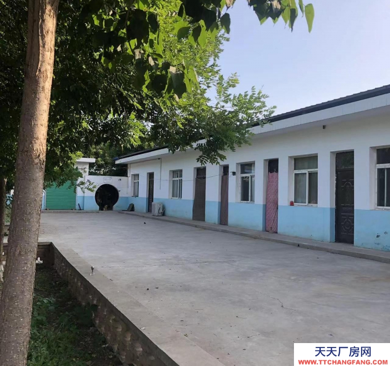 (出租) 咸陽淳化大型現(xiàn)代化豬舍出租。