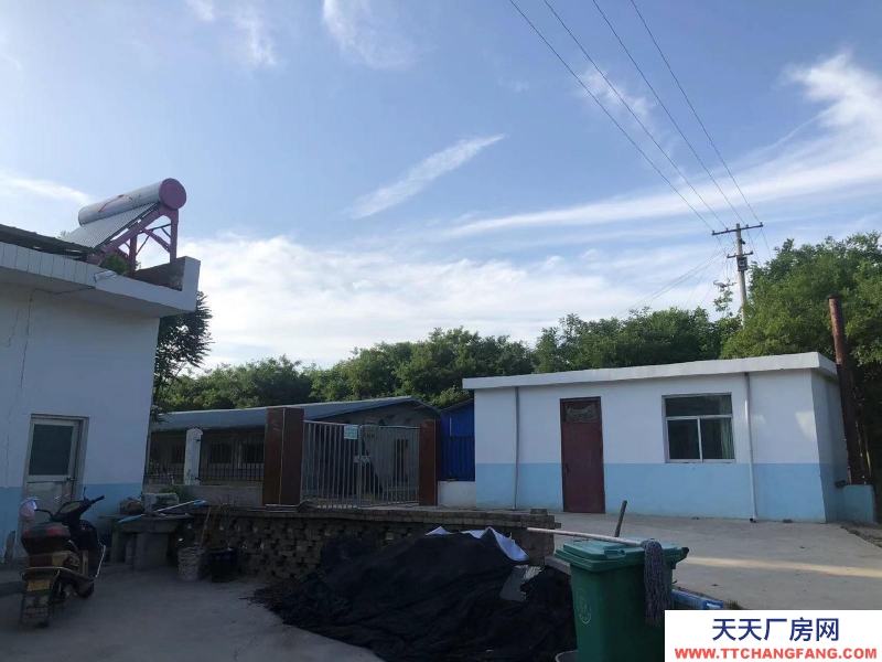 (出租) 咸陽淳化大型現(xiàn)代化豬舍出租。