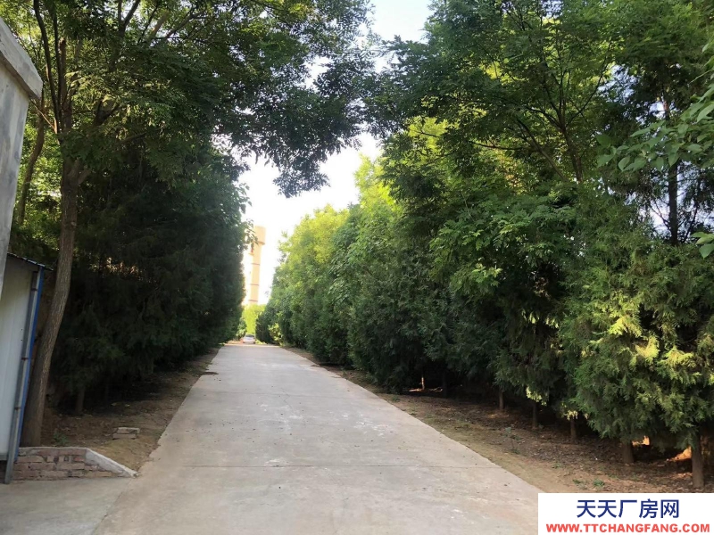 (出租) 咸陽淳化大型現(xiàn)代化豬舍出租。