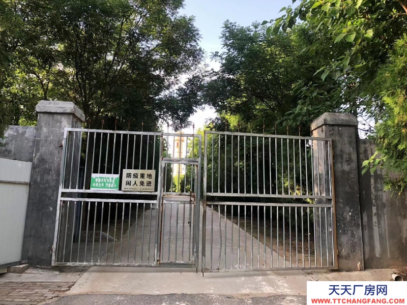 (出租) 咸陽淳化大型現(xiàn)代化豬舍出租。