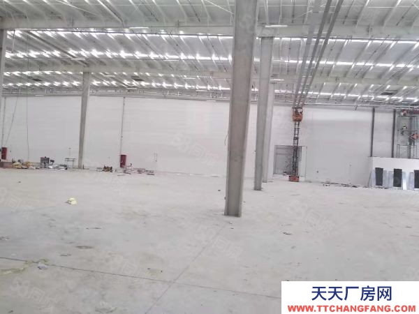 常州金壇80000平雙邊在建倉庫出租 接受定制 產證齊全 形象佳