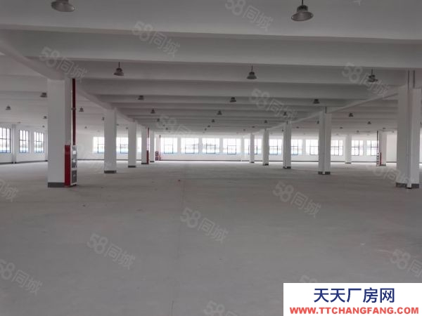 常州金壇丙二類平庫15000平米出租