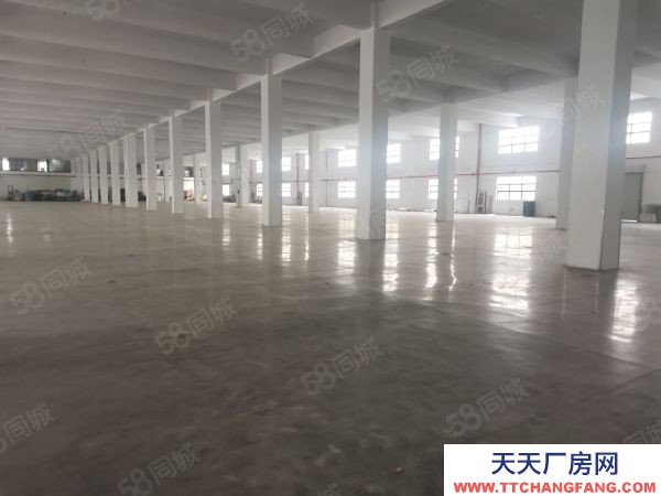 常州) 金壇區(qū)經(jīng)濟(jì)開(kāi)發(fā)區(qū)靠近金武快速路5000方單層廠(chǎng)房出租