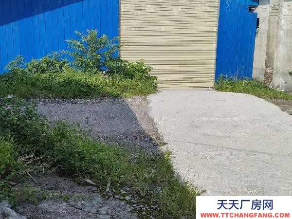 (出租)咸寧赤壁 1棟鋼結構1棟磚結構