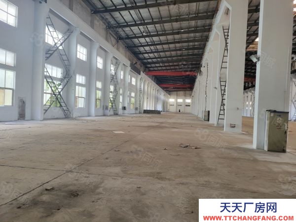 常州溧陽新出全單層倉庫高度高,場地大,大車可進車間