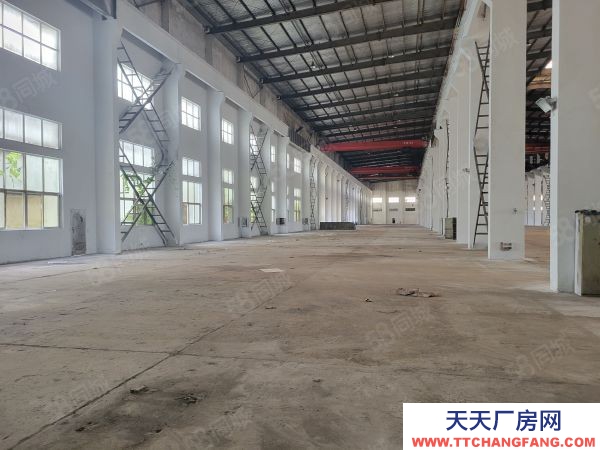 常州溧陽新出全單層倉庫高度高，場地大，大車可進車間