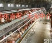 (出租)鄂州梁子湖 臨近王家鋪，有學校，可做各類倉庫，廠房等