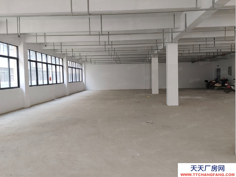 寧波奉化(出售) 出售莼湖濱海新區標準廠房800平