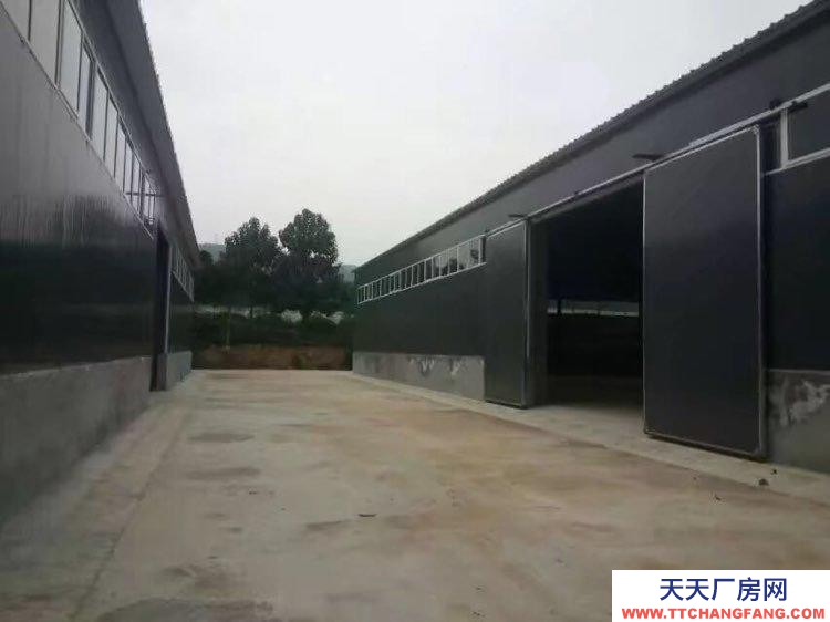 (出租) 渭南臨渭西入口500米，倉庫500一 6000平米