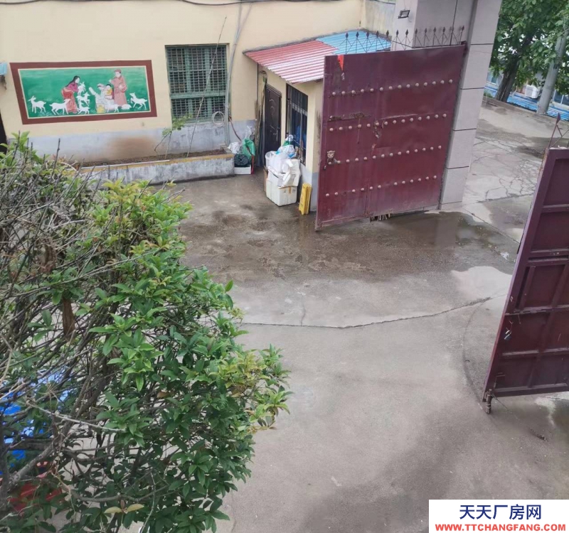 (出租) 寶雞金臺交通方便70平方到800平方都有，可分租可整租