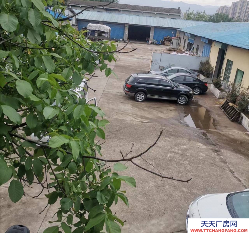 (出租) 寶雞金臺交通方便70平方到800平方都有，可分租可整租