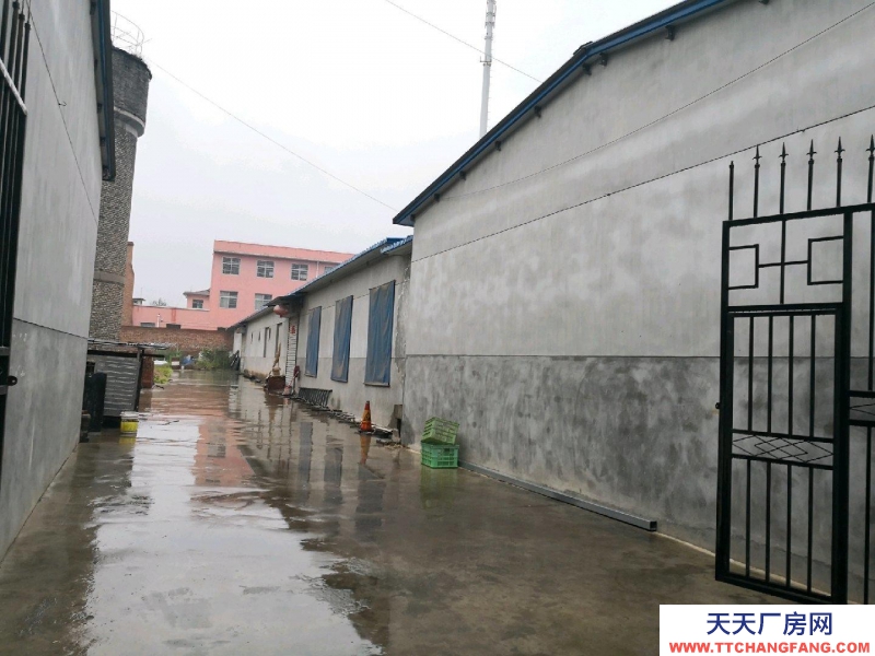 (出租)寶雞陳倉 倉儲(chǔ)、庫房、獨(dú)院出租