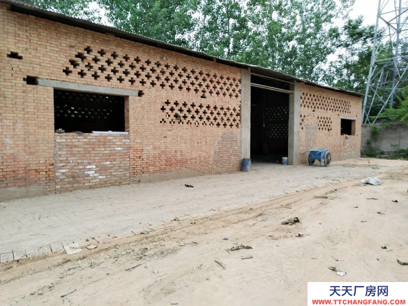 (出租) 渭南大荔附近全是冬棗樹，可做代辦，電商的發(fā)貨地，房租面議，短租，長租