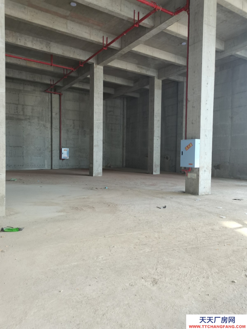 蔡家現房標準廠房/輕軌近公交旁物流園旁/所見即所得