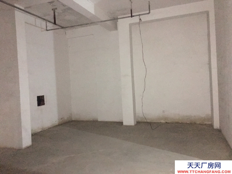 出租高新區(qū)天府大道四河地鐵旁倉庫