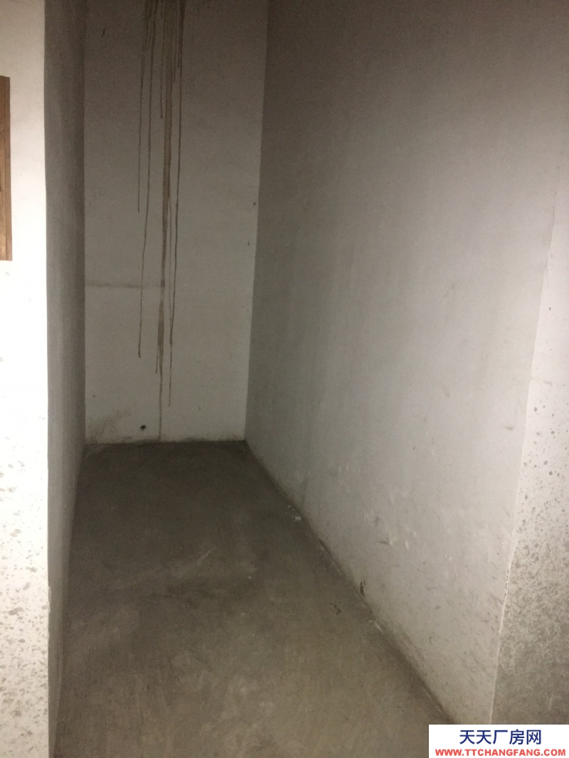 出租高新區天府大道四河地鐵旁倉庫