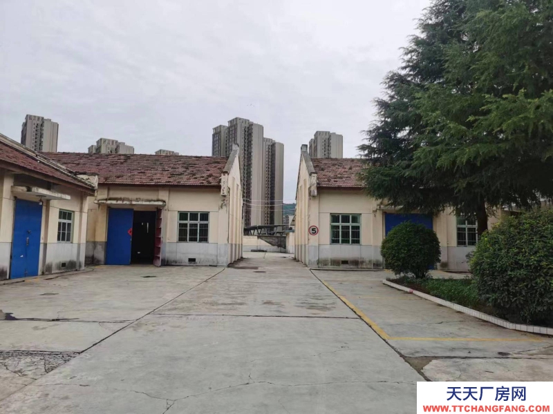 (出租) 寶雞金臺區北環路邊獨院廠房招租