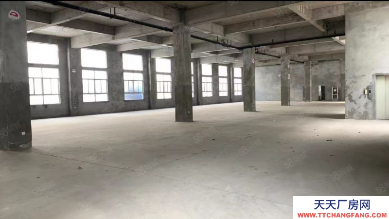 臨沂蘭山蘭華集團標準化工業園1800平米廠房出售